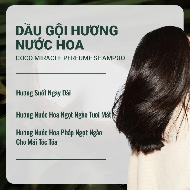 z5199371964655 3b5e463fba4f955a360b45eb0aad534c Dầu Gội Hương Nước Hoa - Coco Miracle Perfume Shampoo