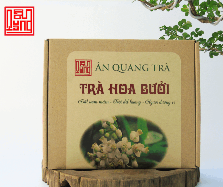 33 TRÀ ƯỚP HOA BƯỞI - ÂN QUANG TRÀ